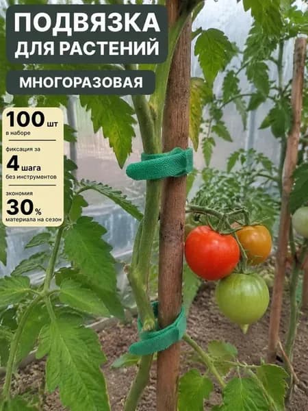Лента для подвязки растений,1см,100шт