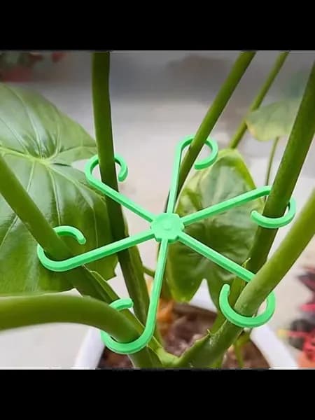 4 размера опора для растений Monstera, держатели для лианов