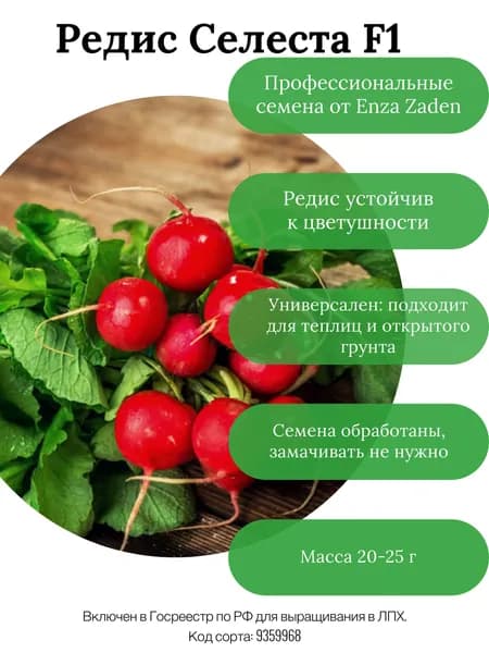 Редис Селеста F1, Enza Zaden, 2 г