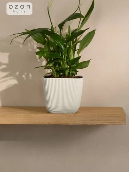 Кашпо Ozon home Белый ротанг, 110х110 мм, Объем 0,65 л