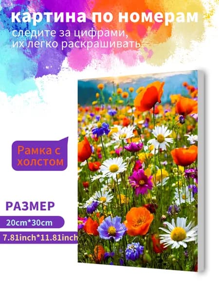 Картина по номерам на холсте с подрамником 20х30 "Яркие полевые цветы" / набор для творчества