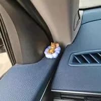 Обшивка автомобильная