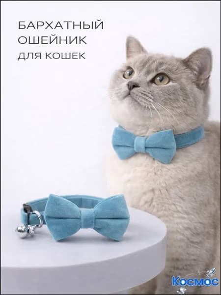 Бархатный ошейник с бабочкой для кошек