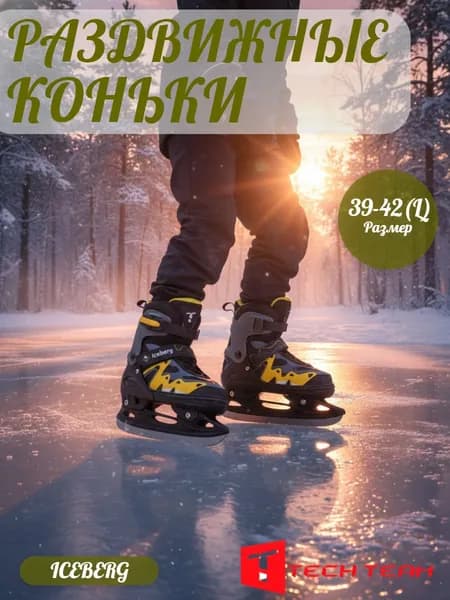 Коньки раздвижные ледовые Tech Team