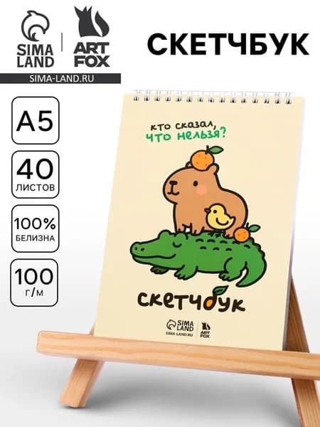Скетчбук для рисования А5, 40 л. 100 г/м2 Кто сказал, что нельзя?