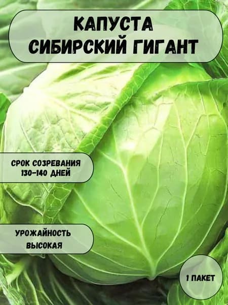 Капуста Сибирский Гигант семена 10 шт