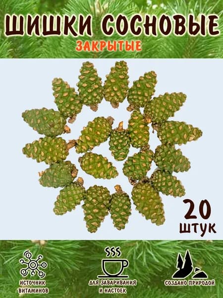 Шишки сосновые зеленые для заваривания, для запаривания, закрытые, набор 20 штук
