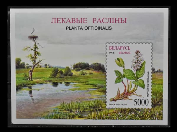 Почтовая марка (блок) Беларуси 1996 г. "Лекарственные растения", Флора