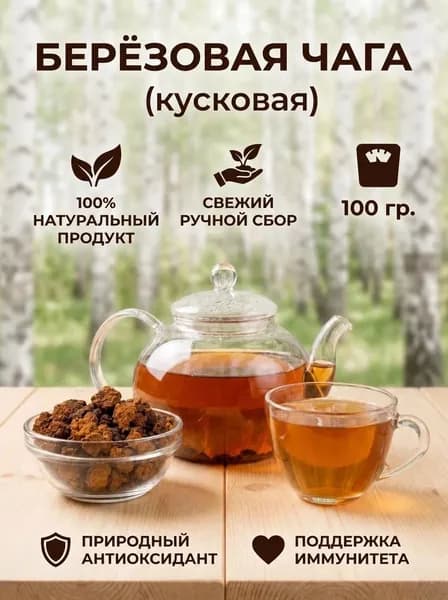 Берёзовая чага