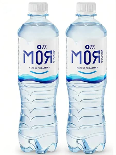Вода питьевая 2 бутылки по 0.5 без газа