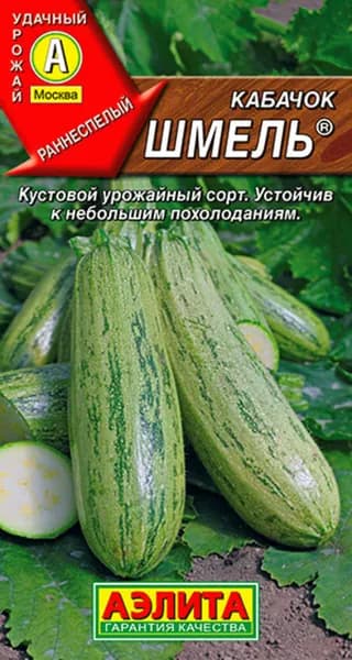 Семена Кабачок цуккини Шмель (1г) - Аэлита