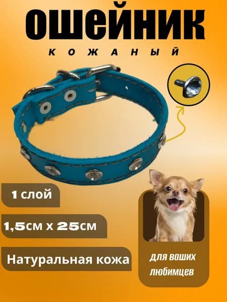 ошейник кожаный со стразами