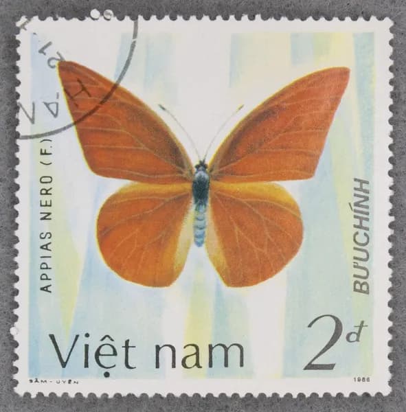 Почтовая марка "Appias nero". Номинал 2 d. Viet nam. 1987 год. (Michel VN 1804)