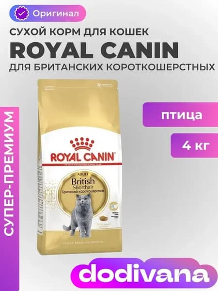 Сухой корм British shorthair для британских кошек 4 кг