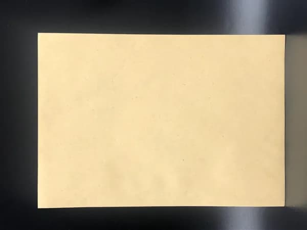 10 шт. Конверт Драйв Директ 162х229 мм крафт 80г желтовато-бежевый, прямой клапан по короткой стороне, отрывнаялента