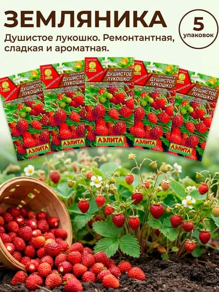 Земляника семена набор