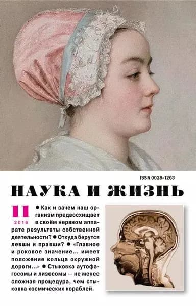 Наука и жизнь No11/2016 | Электронная книга