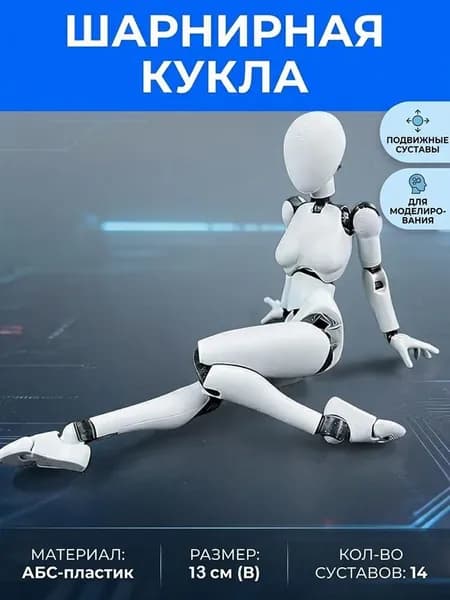 Артикуляционная фигура , художника модель для рисования и скульптуры