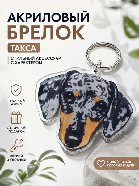 Брелок на ключи Такса, акриловая подвеска на рюкзак, аксессуар с собакой