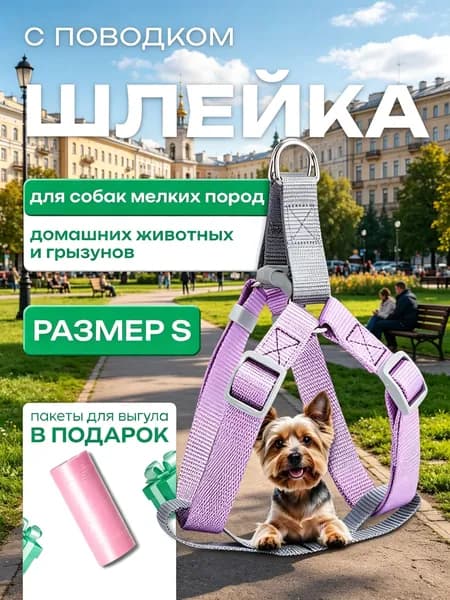 Шлейка