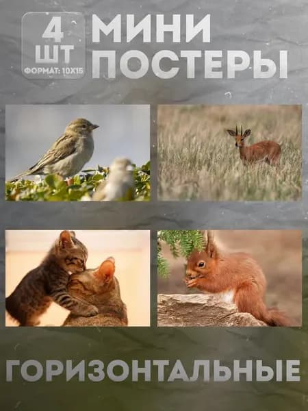 Мини постеры 10 на 15 (набор) «Животные» 4 шт