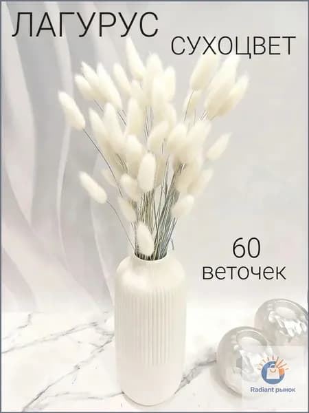 Сухоцветы Лагурус, 45 см, 100 гр, 60 шт