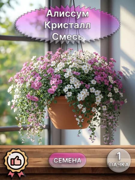 Алиссум Кристалл Смесь семена 10 шт.