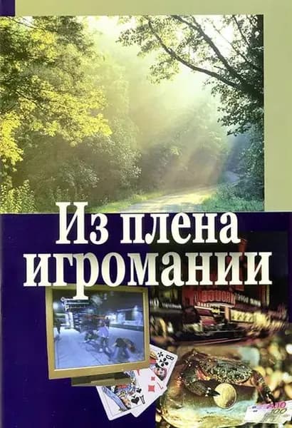 Из плена игромании | Цыганков Владимир Анатольевич | Электронная книга