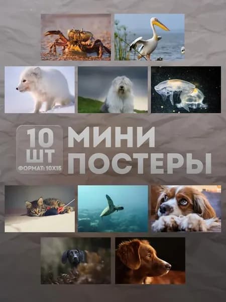Мини постеры (набор) «Животные» 10 шт