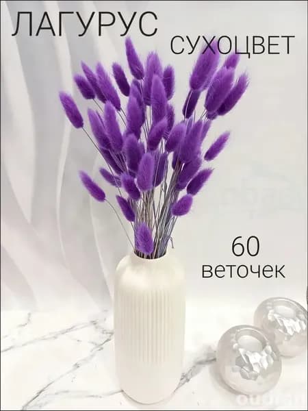 Сухоцветы Лагурус 55 см 60 шт фиолетовый