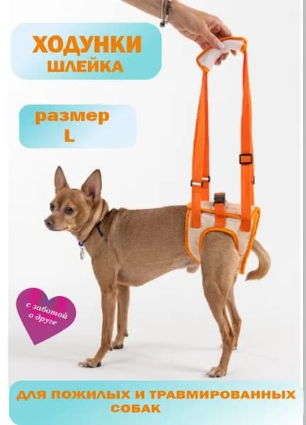 Ходунки для собак