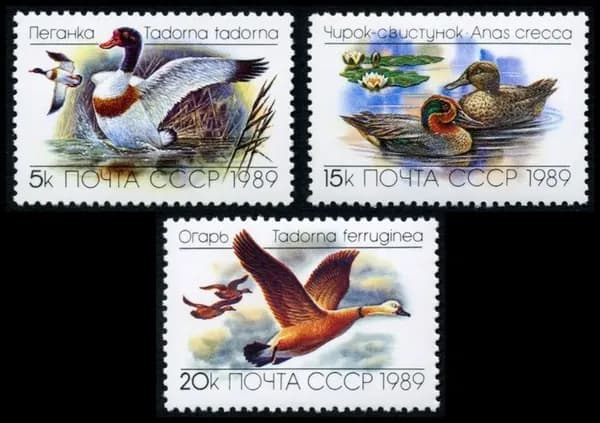 Почтовые марки СССР 1989 г. Фауна. Утки. Серия из 3 марок. MNH(**)
