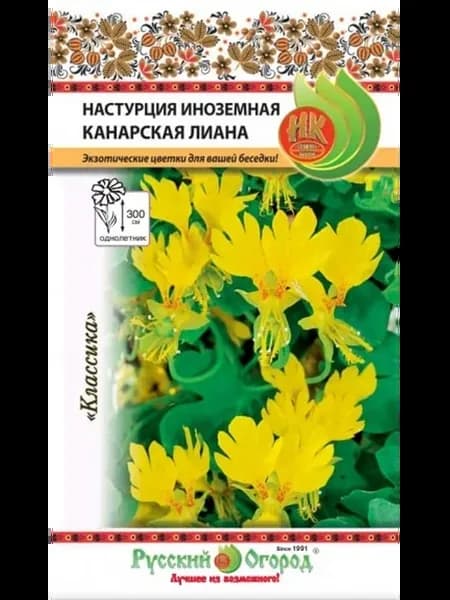 Семена Настурция иноземная Канарская лиана