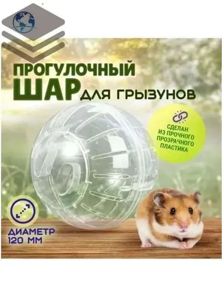 Шар для грызунов, хомяков, мышей, 12 см, прозрачный прогулочный