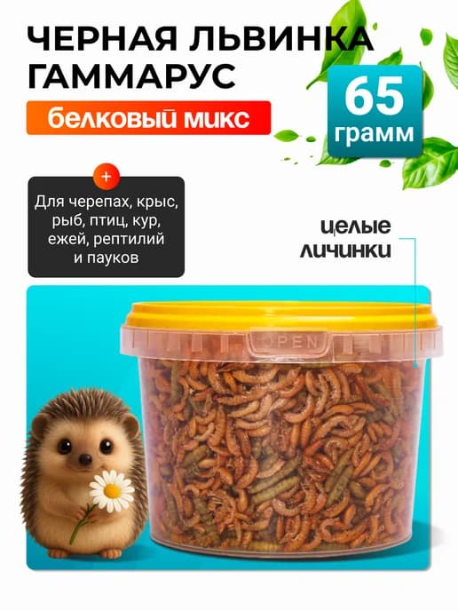 Львинка и Гаммарус природный белок кальций для черепах