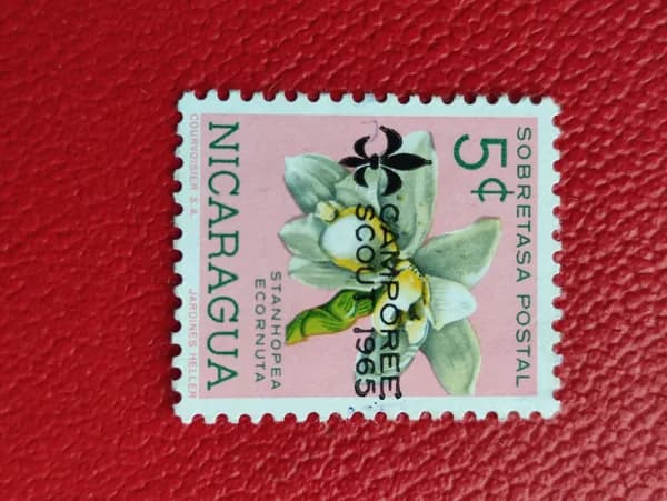 Марки Никарагуа 1966. Цветы: "Орхидеи" . MNH - См фото