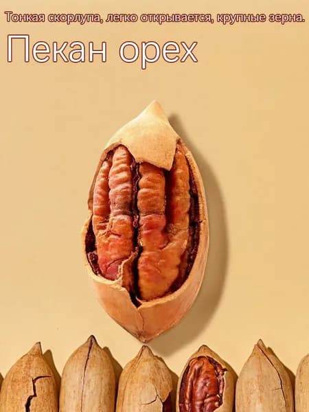 Пекан, 60 г, орехи, сухофрукты, сливочный вкус, закуска, угощение для вечеринки.