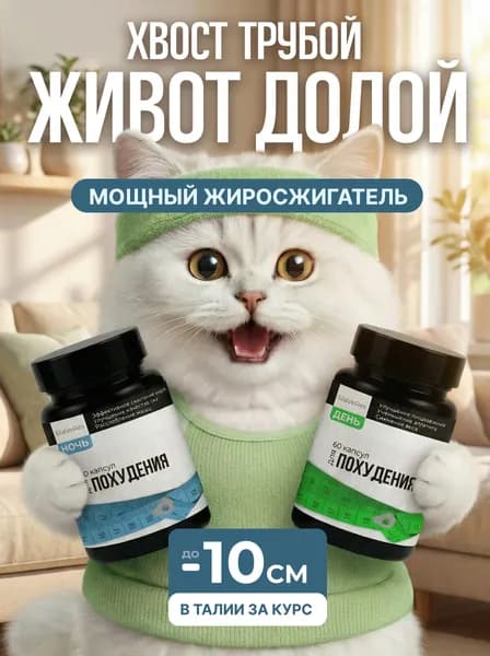 Жиросжигатель SilaVeRes для похудения для женщин и мужчин, капсулы день/ночь, 120 капсул. Комплексная пищевая добавка на основе растительных экстрактов с витаминами и минералами.