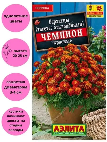Бархатцы Чемпион красные