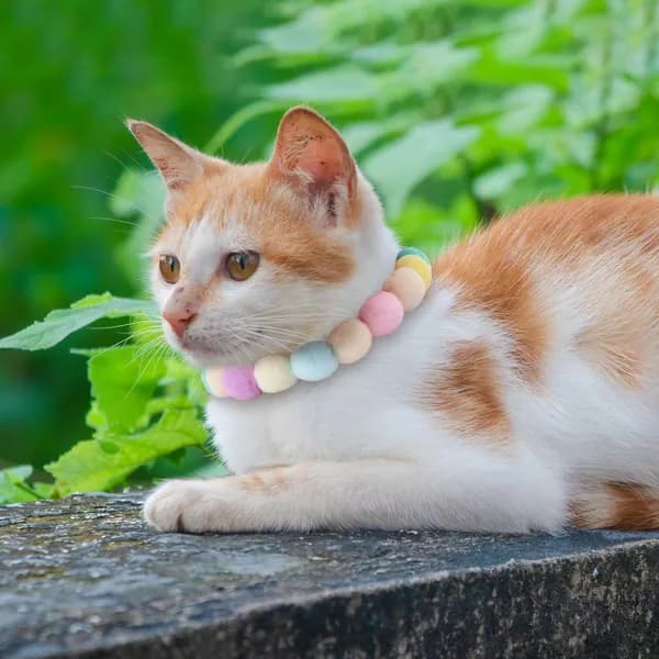 Плюшевый мультяшный ошейник для собак и кошек, комфортный, с декоративными помпонами