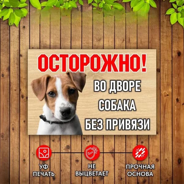 Табличка Осторожно Во дворе собака без привязи Джек Рассел