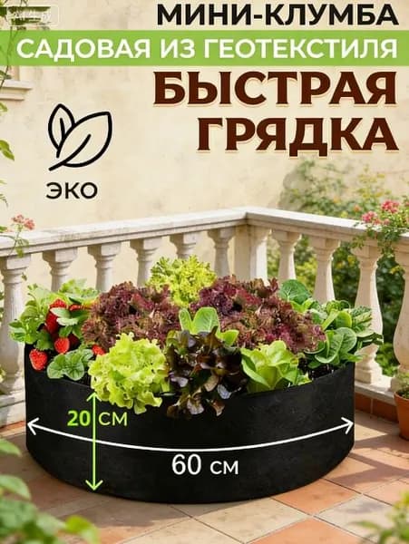 Детский набор для выращивания растений, опыты и эксперименты для детей