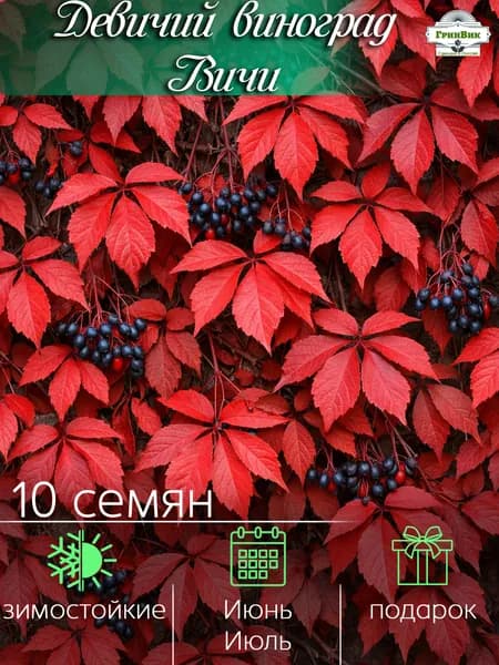 Семена ,10шт