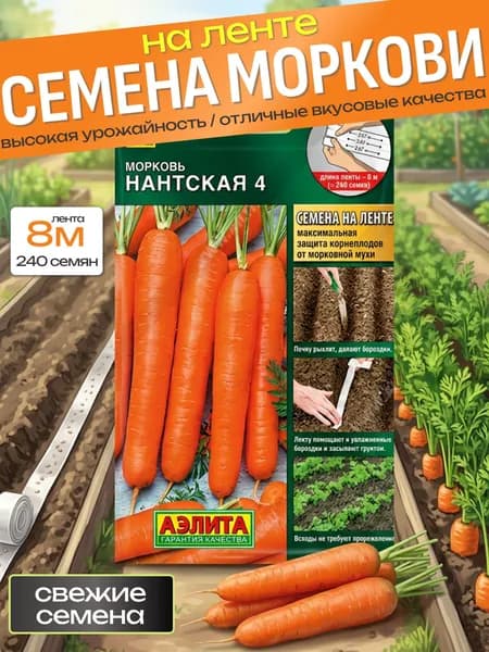 морковь Нантская семена / морковь на ленте семена для посадки, для теплицы и открытого грунта