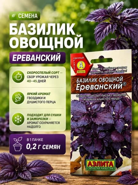 Базилик семена для посадки Ереванский