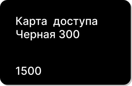Карта доступа Черная 300