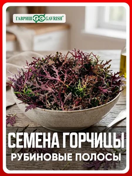 Семена Горчица салатная "Рубиновые полосы" листовая 1 гр, для дома, дачи и огорода, на балкон, в ящик, в открытый грунт.