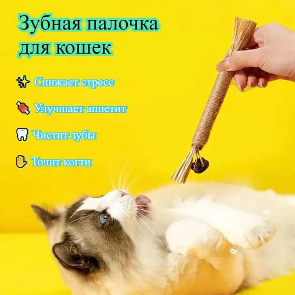 Pet Игрушки