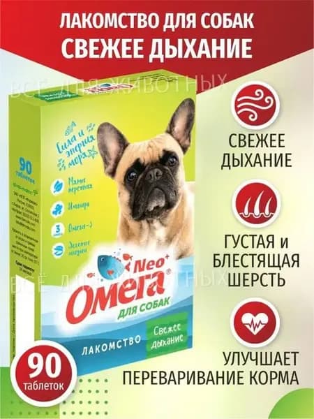 Витамины для собак от неприятного запаха из пасти для жкт