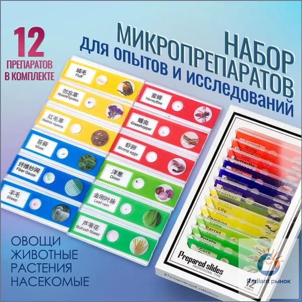 Набор микропрепаратов для микроскопа, препараты для опытов 12 штук (насекомые, животные, растения, овощи)